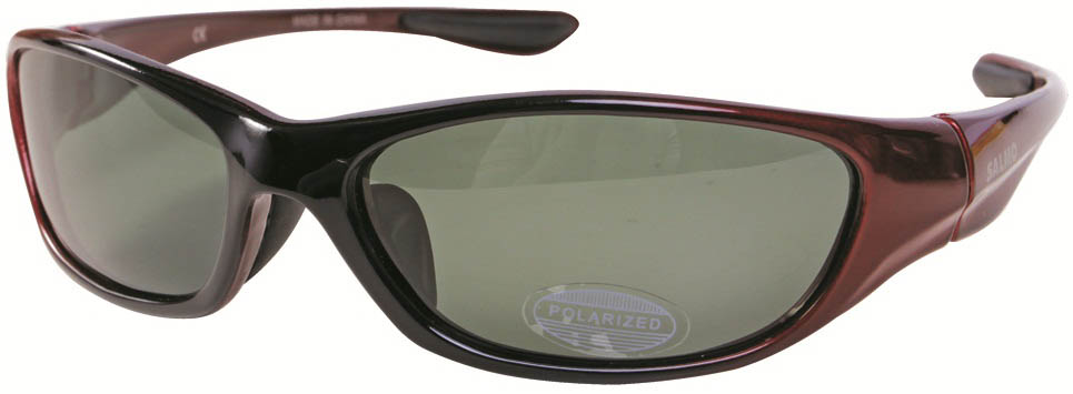 Очки S-2511, поляризационные